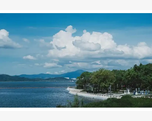 失眠困扰，食疗来助眠